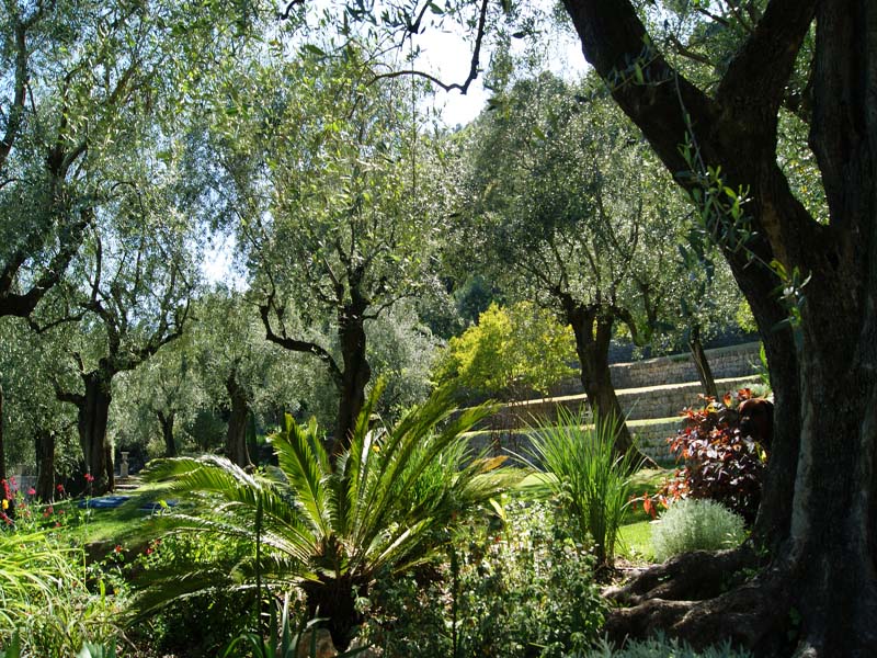 Domaine de la Mouissone_06130 GRASSE_24